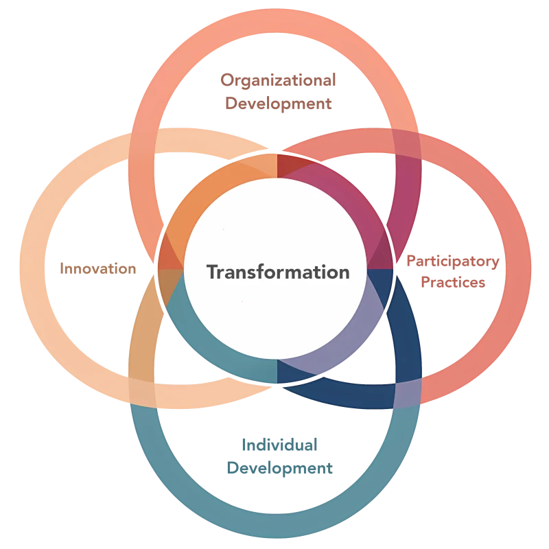 vennes-en Transformation = Innovation + Participatory practices + ( organization + individual ) development